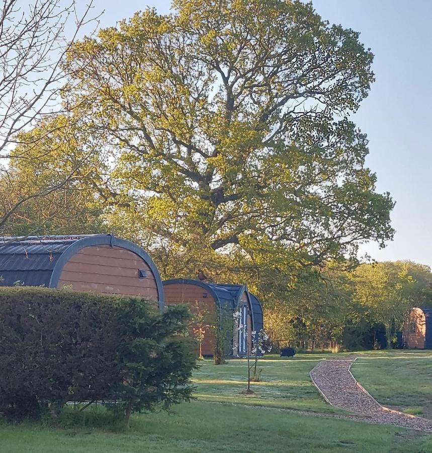 Oak Lodge Pods Лоустофт Екстер'єр фото